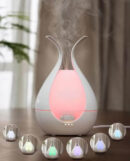 200ml diffuser
