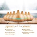 500ml diffuser9