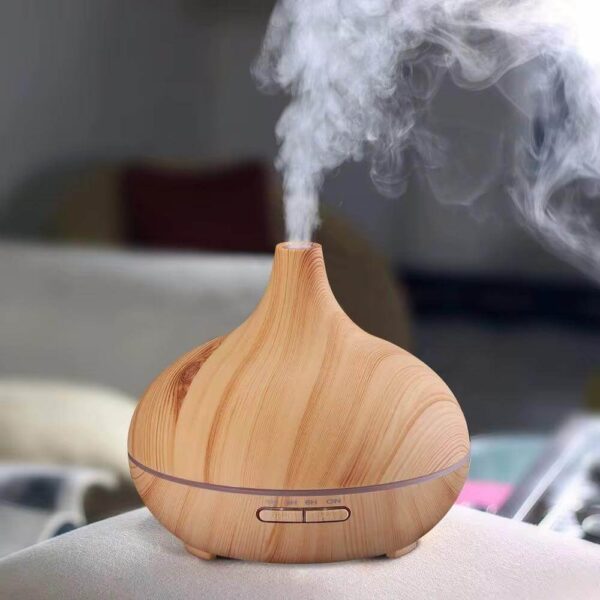 500ml diffuser9