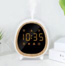 clock diffuser