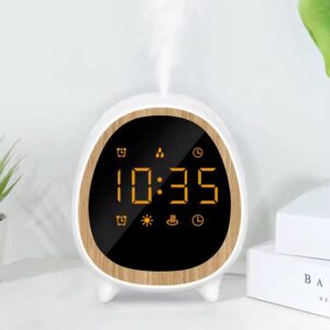 clock diffuser