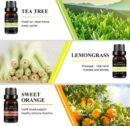 ESSENTIAL OIL SET-10ML 12-IN-1