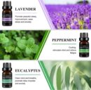 ESSENTIAL OIL SET-10ML 12-IN-1