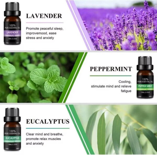 ESSENTIAL OIL SET-10ML 12-IN-1 - Image 3