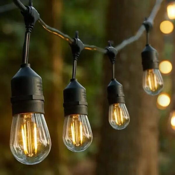 EDISON BULB 15MTRS-48FTS - Image 3