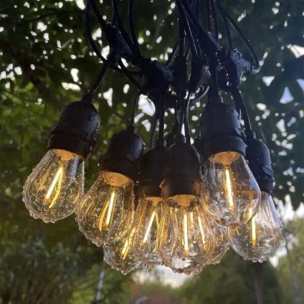 EDISON BULB 15MTRS-48FTS - Image 2