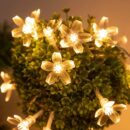 SAKURA FAIRY LIGHT-5M-WARM