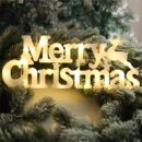 MERRY CHRISTMAS LIGHT SIGN