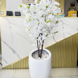 BLOSSOM TREE