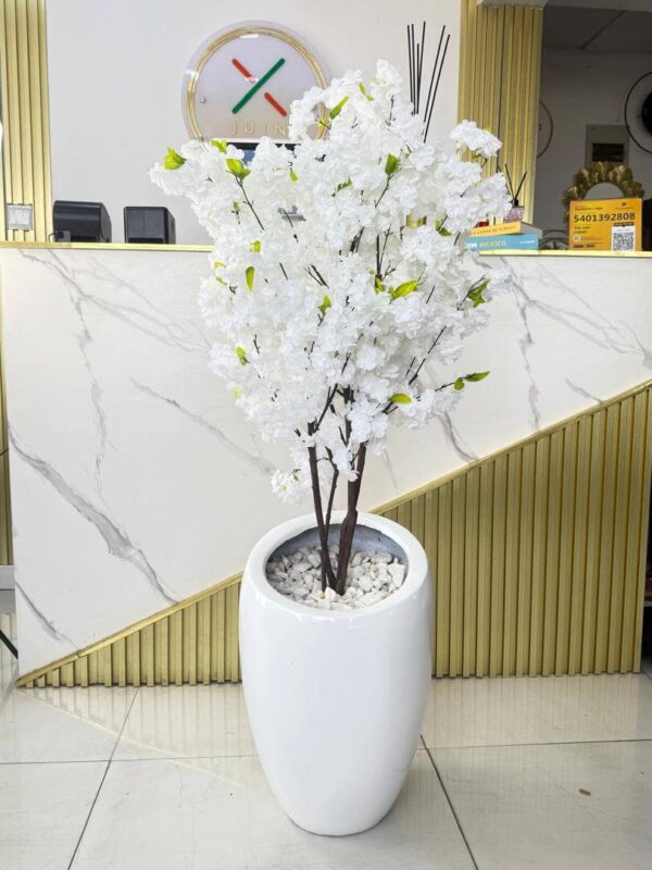 BLOSSOM TREE