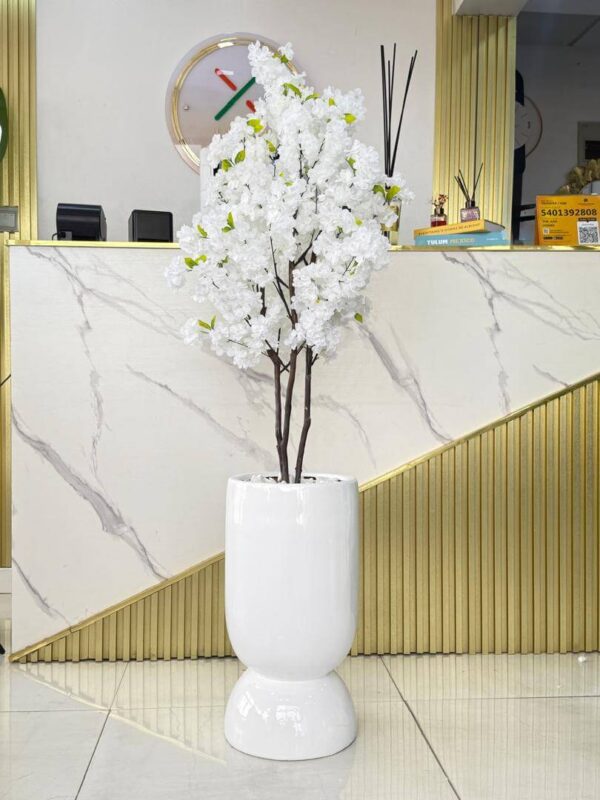 CHERRY BLOSSOM TREE