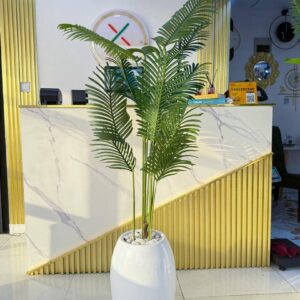 floor plant