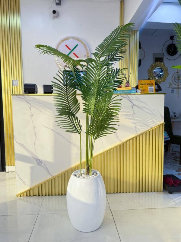 floor plant