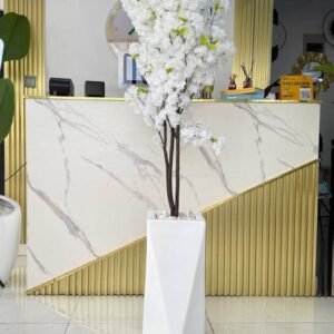 BLOSSOM TREE