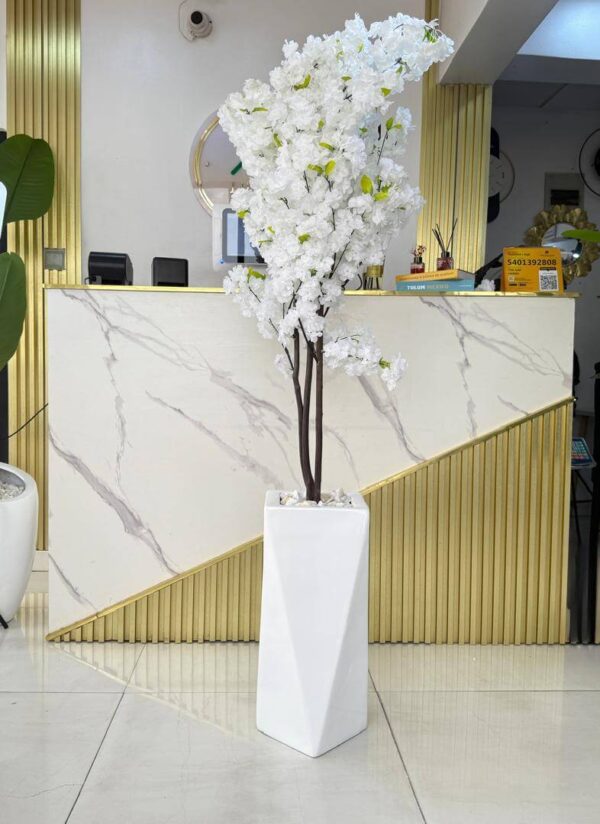 BLOSSOM TREE