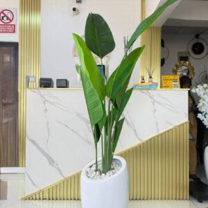 PLANT VASE