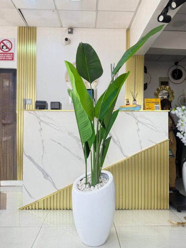 PLANT VASE