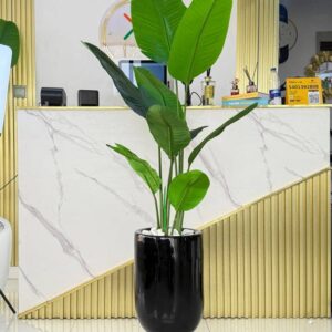 floor plant