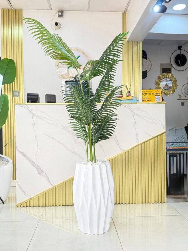 TALL PALM TREE
