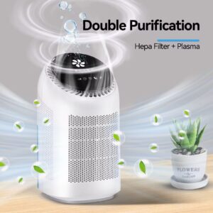 AIR PURIFIER & DEHUMIDIFIER 700ML