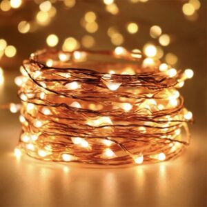 5.5M FAIRY LIGHT WITH REMOTE